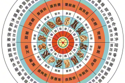 张仲景著作 《金匮要略》