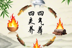 究竟什么是“四气养身”