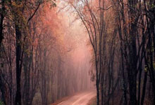 小儿脑瘫治疗方法