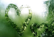 男人右脚底有痣